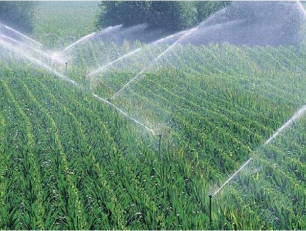微喷节水灌溉设备